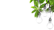 Renewable-power_180x101.jpg