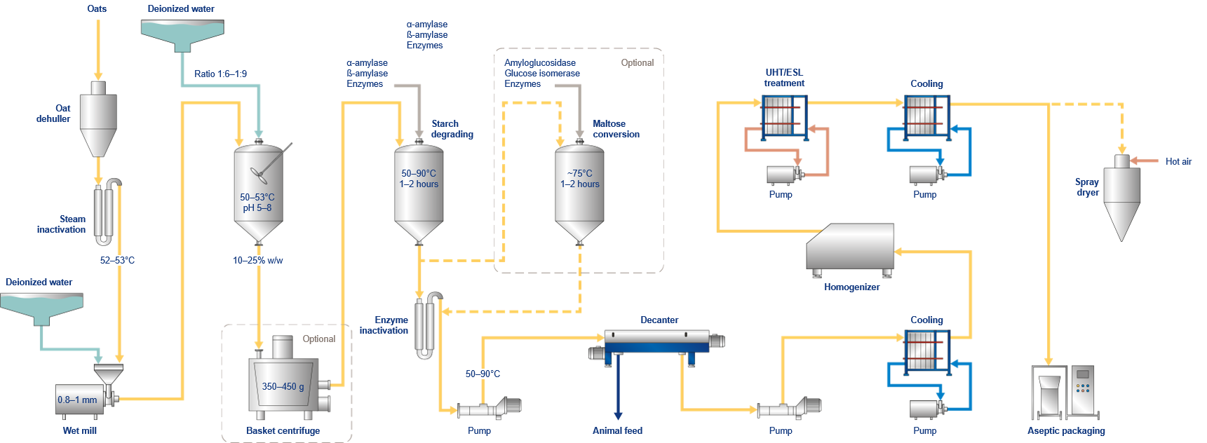 Plant based drink extraction process