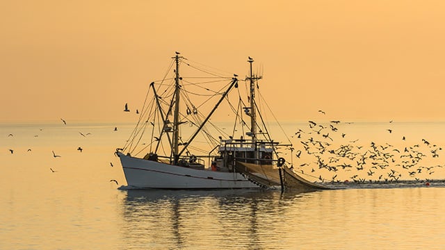 Fishing-vessels-freedom-to-sail.jpg